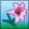 lily-pink.jpg lily-pink.jpg