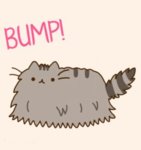 bump.jpg