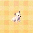 chihuahua-ornament.jpg