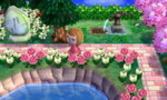 sleepydreepy5.JPG