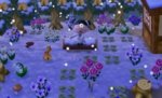 sleepydreepy10.jpg