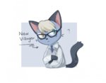 新猫2.jpg 新猫2.jpg