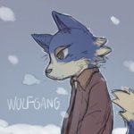 NH-Wolfgang.jpg NH-Wolfgang.jpg