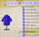 shirt dress.jpg