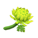 FlwMumGreen.png