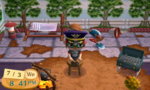 ACNL 333.JPG