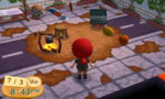 ACNL 334.JPG