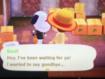 lucky.jpg