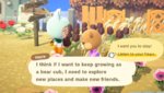 maple.jpg