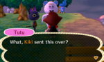 kiki_funny.jpg