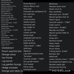 C28B0D4B-FCD3-4172-AF93-87EB77BCA1EF.jpeg