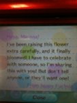 fuchiaflower1.jpg