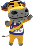 Coach_HHD (1).png