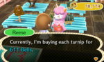 turnips.jpg turnips.jpg