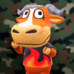 NH-Angus_poster.png