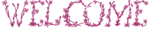welcome.png