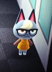 catpic.jpg