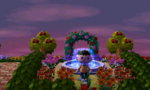 HNI_0083.JPG