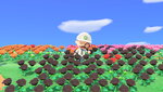 flowerpower.jpg