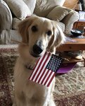 141CDB03-FE3F-41BC-BF36-99C433B52408.jpeg
