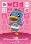 show.png