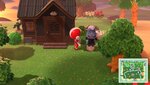 Rodeo Animal Crossing.jpg