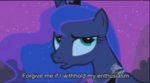 ponylunaforgivemeifihitholdmyenthusiasm.jpg