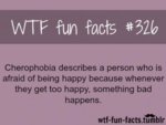 tumblr_ma211uqC9U1roqv59o1_500.jpg