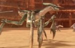 spidercrab.jpg
