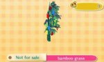 bamboo-grass.jpg