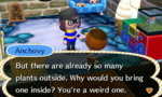 Anchovy's Houseplant Logic.JPG