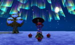 HNI_0020.JPG