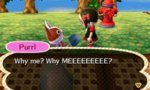 Purrl in hole.jpg