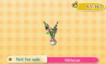 ACNL_hibiscus.jpg