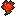 carnation-red.gif carnation-red.gif