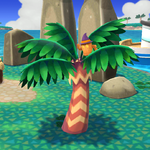 PocketCamp_20201021123957.png