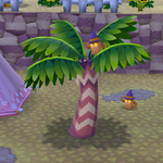 PocketCamp_20201024020205.png