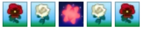 1605135700559.png