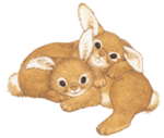 cuddling-bunnies.gif cuddling-bunnies.gif