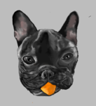1607403510165.png