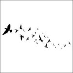 Birds flying.jpg