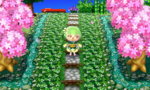 holly path.jpg