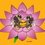 2AE1BDD1-4BAC-4345-BFDD-364A8F447553.jpeg 2AE1BDD1-4BAC-4345-BFDD-364A8F447553.jpeg