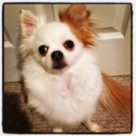 IMG_2079.jpg IMG_2079.jpg