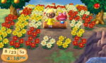 animal crossing 1.jpg