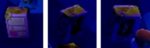 acnl mystery item.jpg