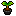 1483538251-plant-shrub.gif
