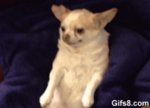 Every-time-I-visit-my-Grandma.jpg