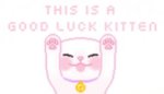 tumblr_ng9lkaT3Mh1thtscyo1_250.jpg