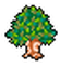 Tree 1.png